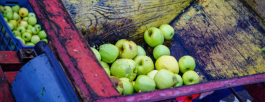 La fête de la pomme est de retour !