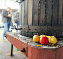 Fête de la pomme