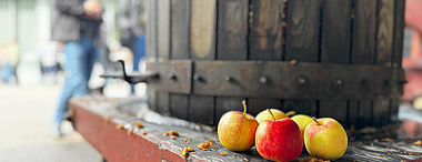Fête de la pomme