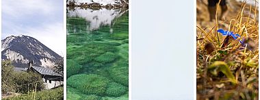 Concours photo & poésie : votez pour vos créations préférées !