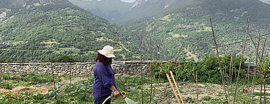 Jardin partagé - Nouvelles parcelles - Appel à candidatures