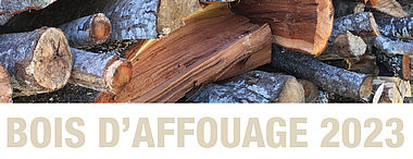 Bois d'affouage 2023