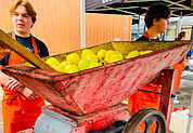 Fête de la pomme