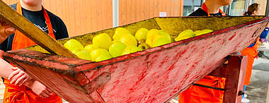 Fête de la pomme